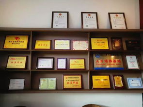 中越股份 企業(yè)一站式服務(wù)專家，引領(lǐng)計算機信息化時代