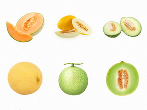 香甜哈密瓜 從水果到零食的多樣化享受