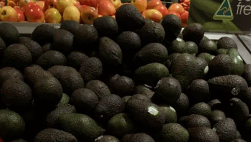 澳洲牛肉價(jià)格將上漲，果蔬價(jià)格有望下跌 市場(chǎng)波動(dòng)背后的原因與展望